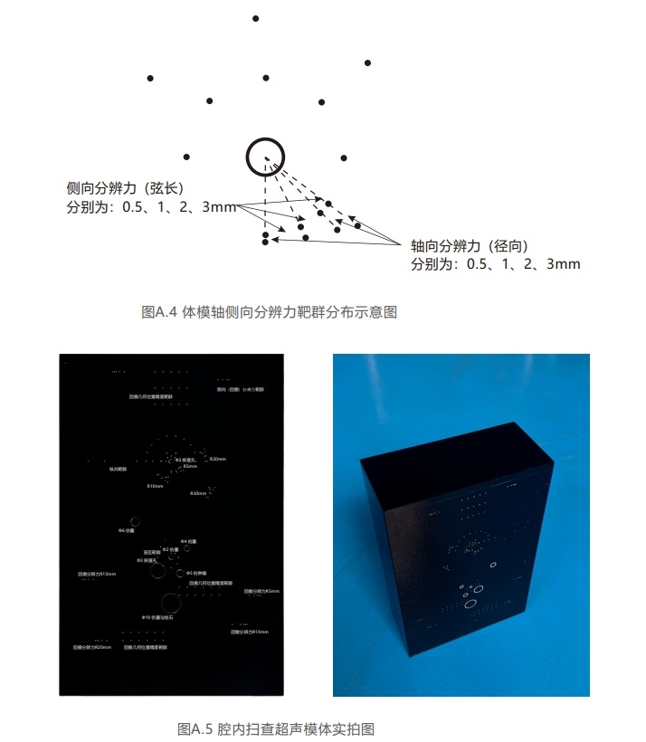 腔內(nèi)掃查超聲模體9 腔內(nèi)掃查超聲模體9