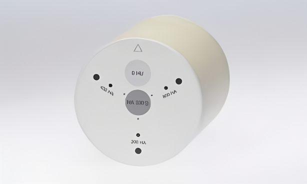 心臟校準(zhǔn)鈣化物模體.jpg 心臟校準(zhǔn)鈣化物模體.jpg