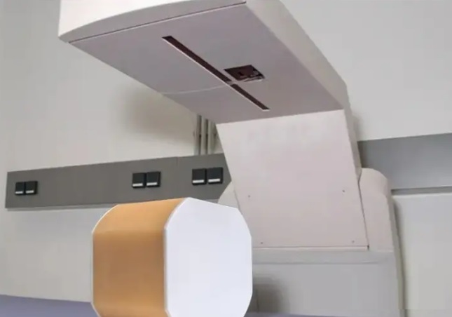 腰椎通用模體3 腰椎通用模體3